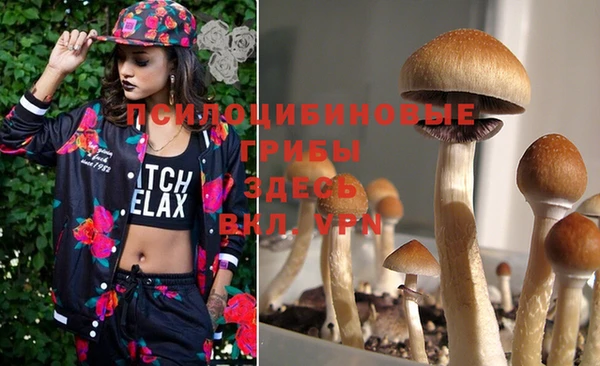 PSILOCYBIN Богородск