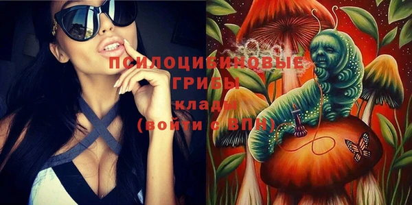 не бодяженный Богородицк