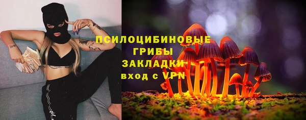 кокаин Богданович