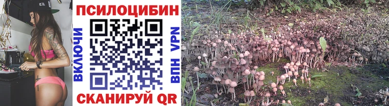 Псилоцибиновые грибы Cubensis  продажа наркотиков  Вяземский 